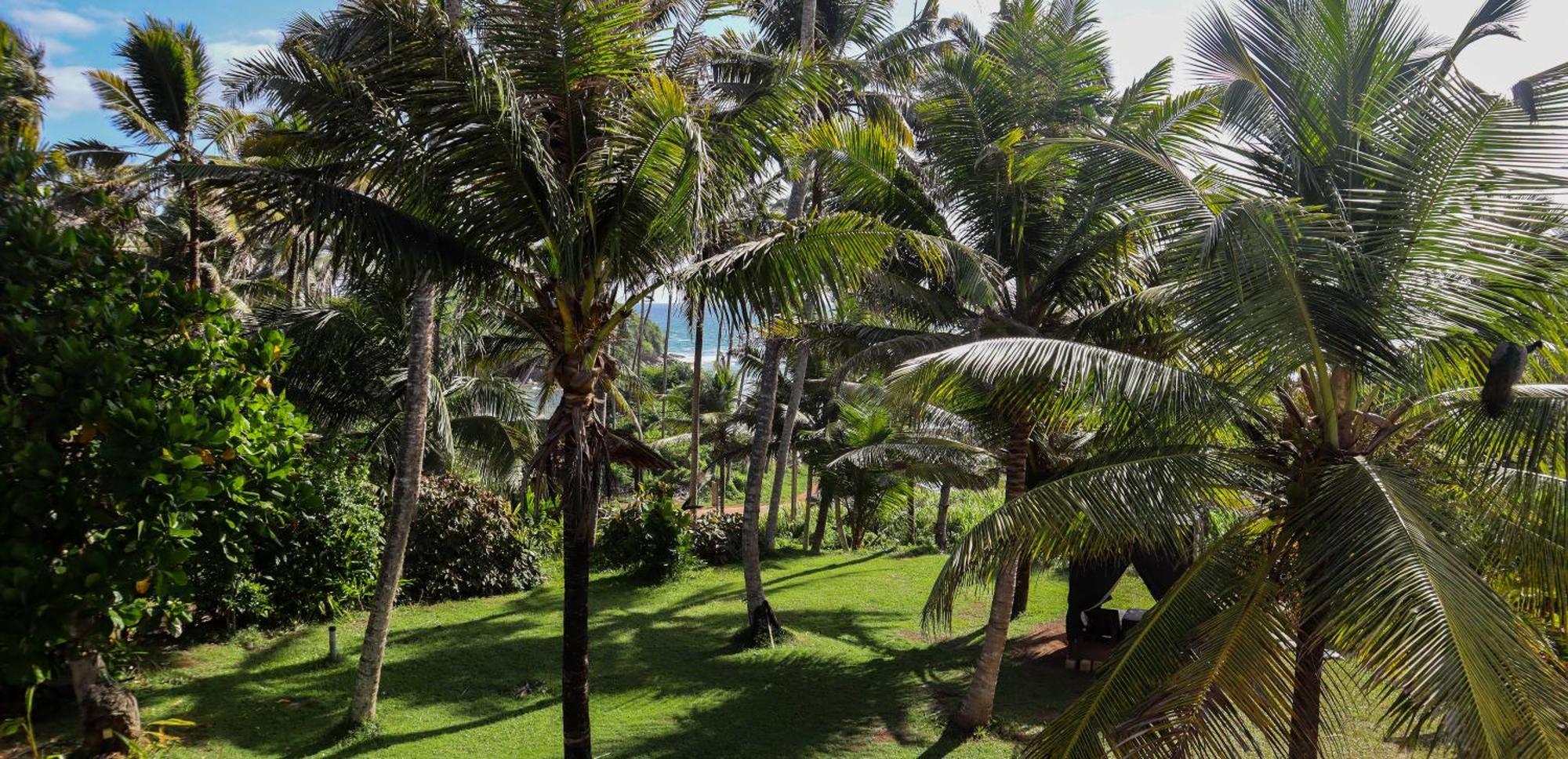 Singhe House Hotel Dikwella Exterior foto