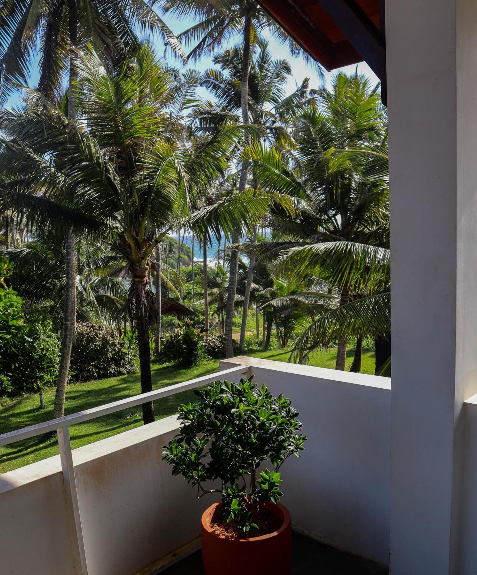 Singhe House Hotel Dikwella Exterior foto