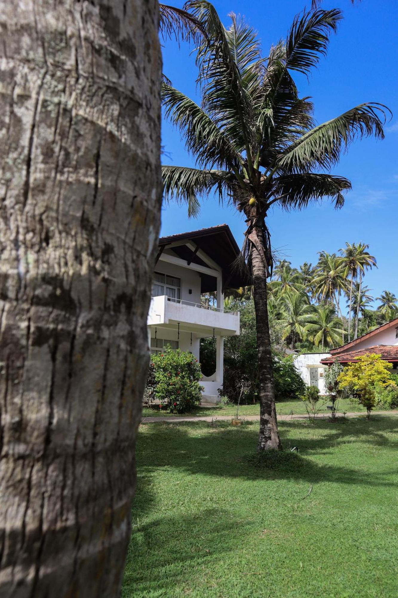 Singhe House Hotel Dikwella Exterior foto